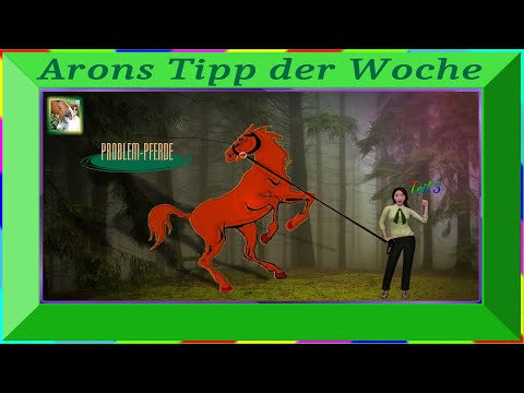 Problempferd Aron erzählt über sein Problempferd Dasein und mehr in Teil 5 in Arons Tipp der Woche