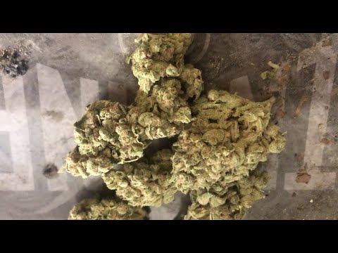 Roll up & smoke with me (3.5 backwood + joint)