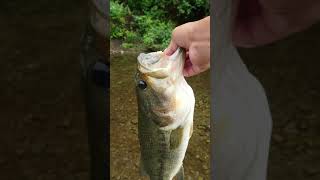 平瀬彪 撮影　バスのサイズは？