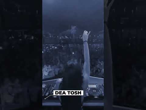 SELECTED FESTIVAL 2022 | ARTISTS SHOWCASE