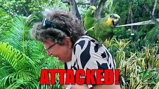 Cartagena, SHOCKED Us - Cooking Class, Animal Attacks & Norovirus on Board