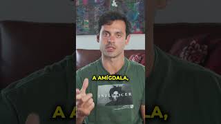 …é que toda vez que você foge da ansiedade…