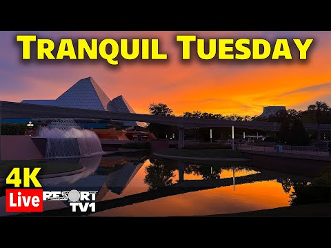 🔴4K Live: Tranquil Tuesday at Epcot in 4K UHD  - Walt Disney World Live Stream