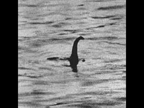 Dylan Dog Mensile N°183 Requiem per un Mostro: Recensione