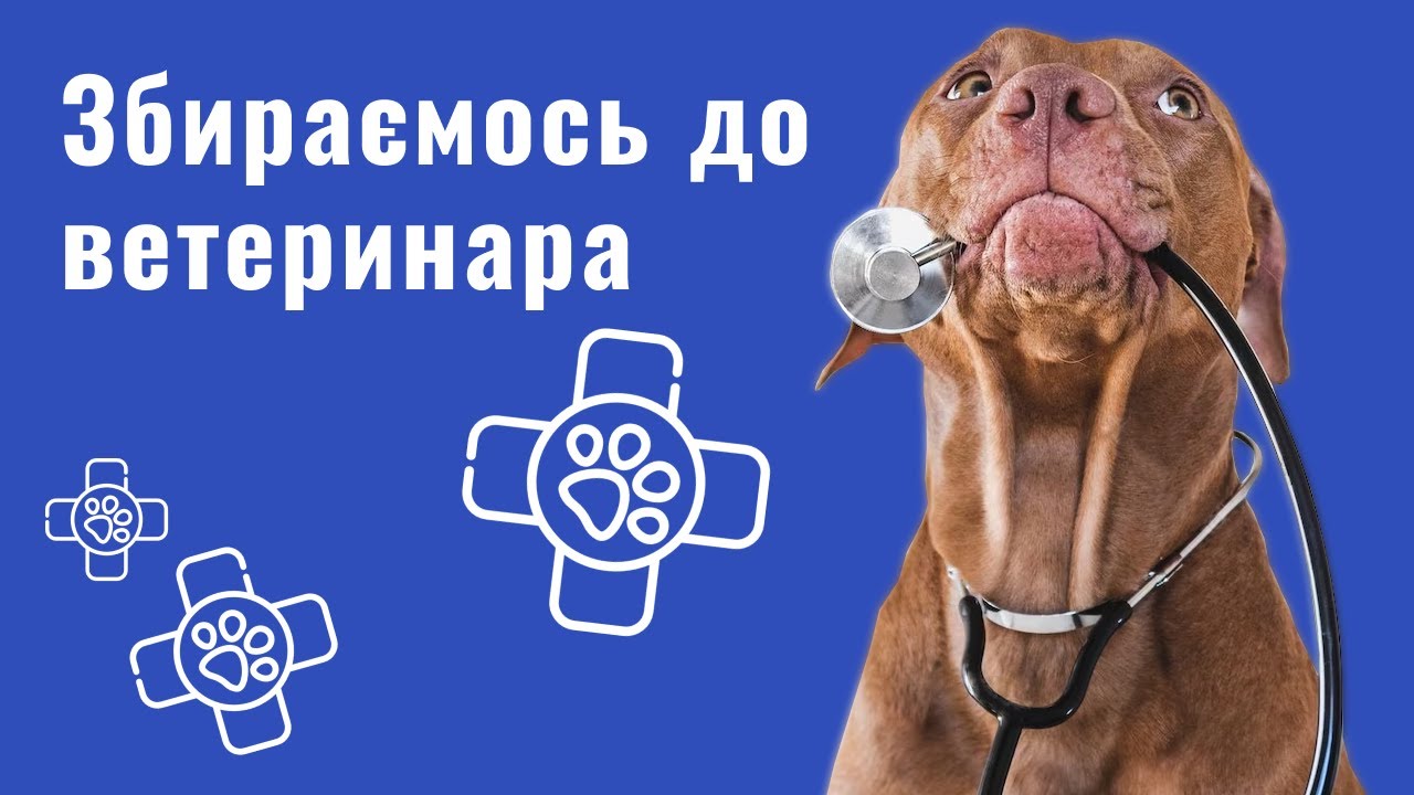 YouTube video preview