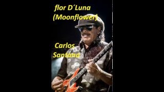 Backing Track Carlos Santana flor D´Luna Moonflower