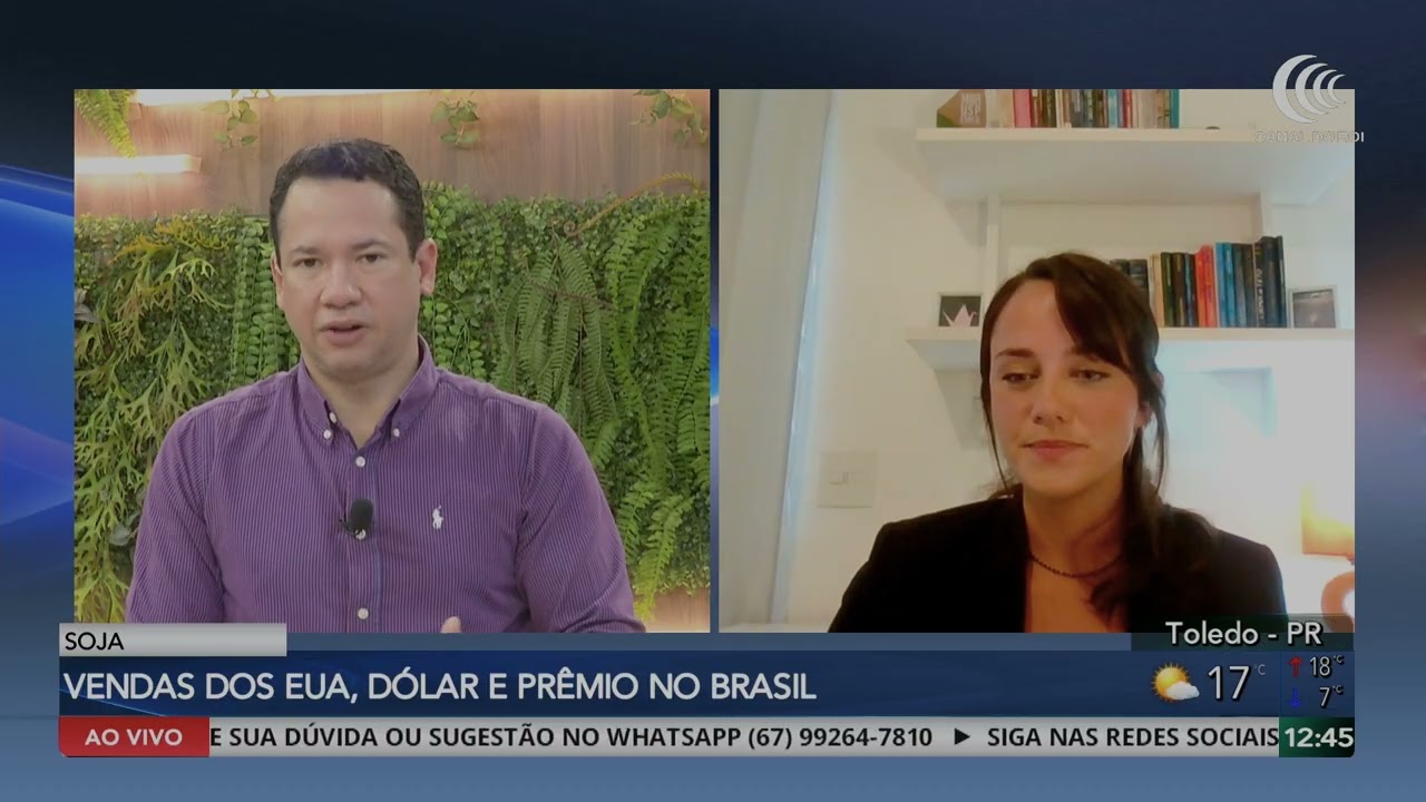 Soja recua em Chicago após sequência de altas