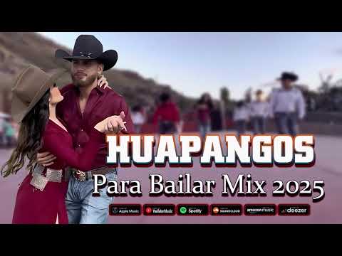 Mix de Huapangos 2025 ~ Popurri De Huapangos Chingones Mix ~ Huapangos Pa' Zapatear 2025