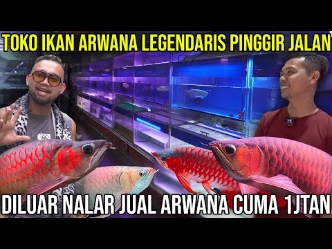 LEGENDARY ROAD SIDE ARWANA FISH SHOP BEYOND REASON, SELLING ARWANA FOR ONLY 1 MILLION | AROZONE