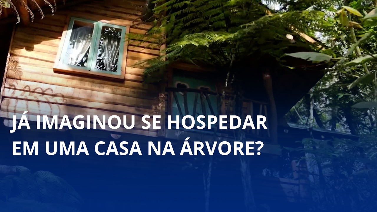Já imaginou se hospedar em uma casa na árvore?