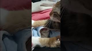 Hoje até que ela tá boa!!!