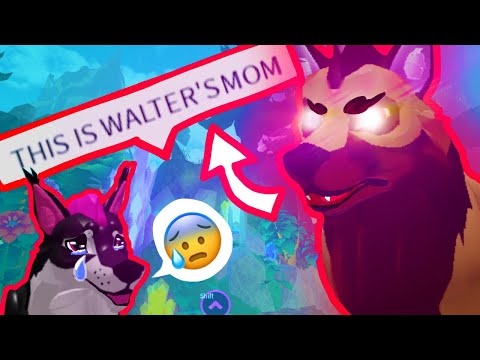 WE GOT IN TROUBLE on Wolves Life Dawn