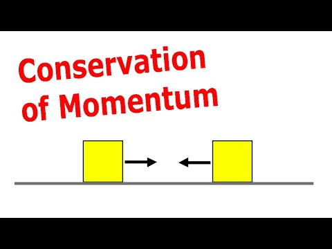 Conservation of Momentum Practice Problems (Physics)