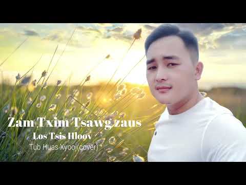 zam txim tsawg zaus tsis hloov tub huas xyooj (cover)