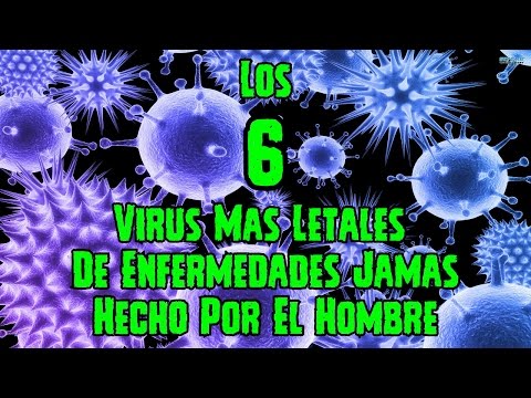 TOP 6: Los 6 Virus Mas Letales De Enfermedades Jamas Hechas Por El Hombre