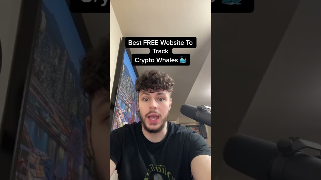 HOW TO FIND & TRACK CRYPTO WHALES YOURSELF! 🐳