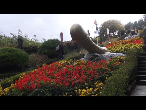 Powiększenie prącia ustnej Jak dostać orgazmu z małym penisem