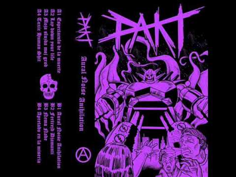 Pakt - Aural Noise Annihilation