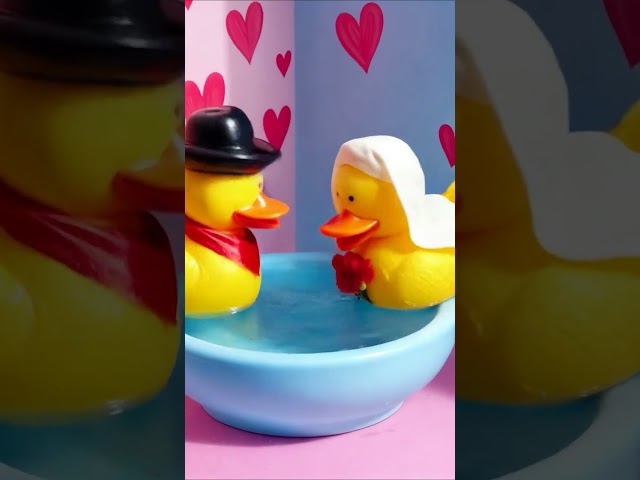 Vídeo relacionado con mi Pato de San Valentín Día de San Valentín Patos Amante CAM Camiseta