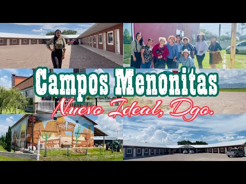 Imagen previa del video de Colonias Menonitas