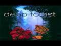 The Best Of Deep Forest Лучшие песни этно проекта Deep Forest The Best Collect