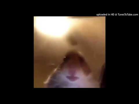 makaron x poorjunkie - xan nightcore