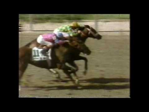 HANSEL - Belmont Stakes 1991