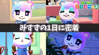【あつ森】1日密着企画！みすずの1日に密着してみた！！｜【ACNH Judy】