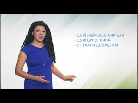 Zelena prognoza, 14.9.2016. - O azijskoj voćnoj mušici