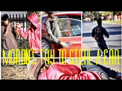 Moron's Try To Steal A Car