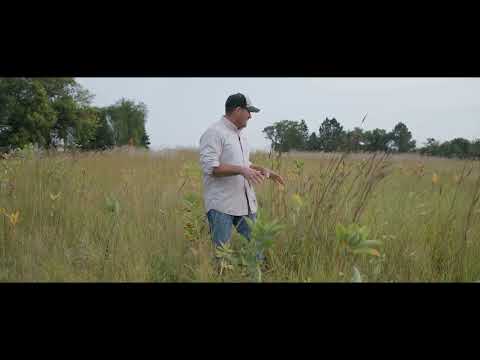 August 2025 - Our Amazing Grasslands – Grassland Restoration (Part II)