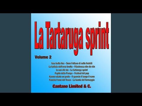 La tartaruga sprint