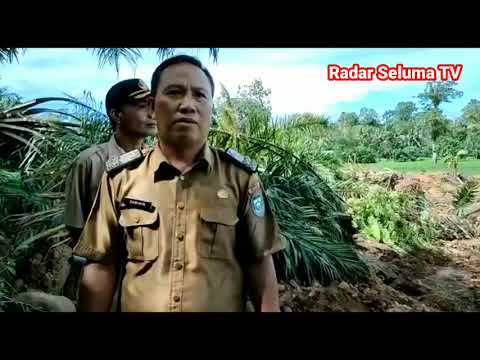 Irigasi longsor, sawah kekeringan