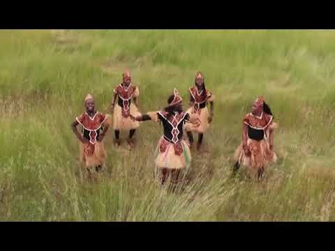 Disco Daddy - Janabie (Musical Video)