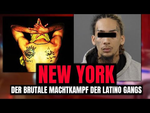 Der Brutale Machtkampf der Latino Gangs in New York (Dokumentation)