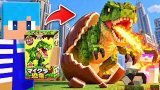 チョコエッグ開封したらホンモノが現れる世界！【マイクラ / マインクラフト】