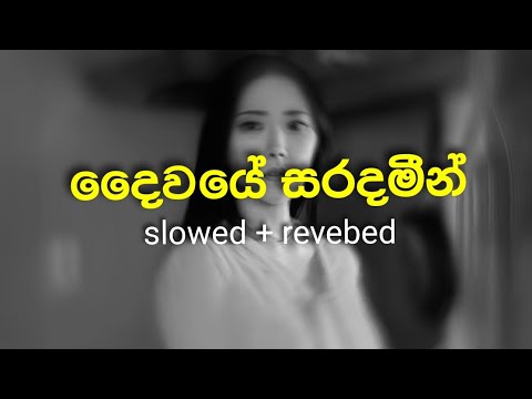 Daiwaye Saradamin┆දෛවයේ සරදමීන්┆#athulaadikari #samithamudunkotuwa
