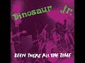 Dinosaur Jr. - Been There All the Time