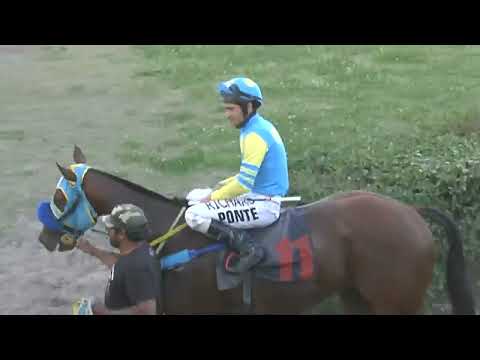 CARRERAS SINT 220929 c10 - 1° AMBASSADEUR