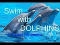 Swimming with Dolphins, Guided Meditation to help ...