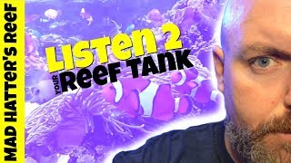 How to Listen to Your Reef Tank