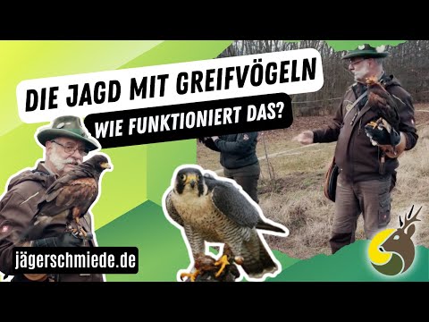 Die Falknerei und Beizjagd - Mach dich fit für die Jagdprüfung!  *Praktischer Jagdbetrieb*