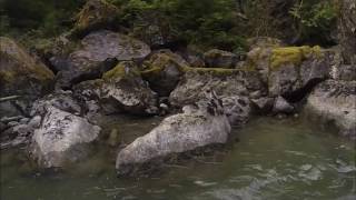 Sultan River at 460cfs