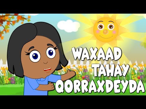 Waxaad Tahay Qorraxdeyda - My Sunshine Somali Baby Song - Hees Caruureed - Somalia Kids