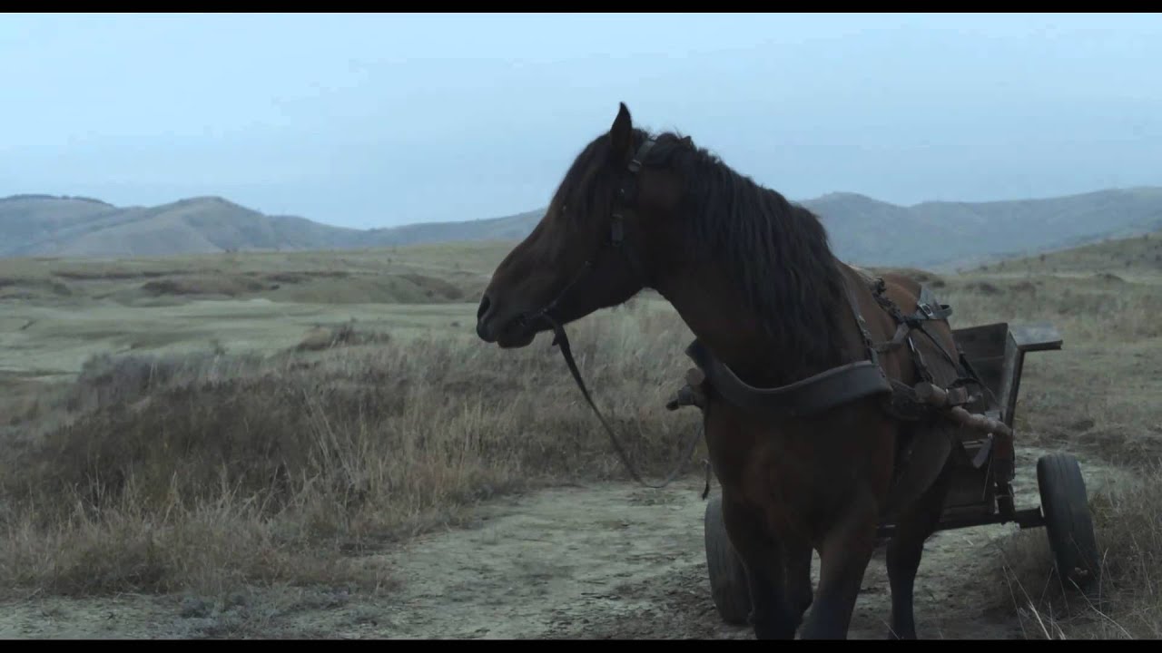 Miniature de la vidéo Le Miracle de Tekir - Bande annonce du film Le miracle de Tekir