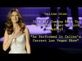 Celine Dion - It's All Coming Back To Me Now/The ...