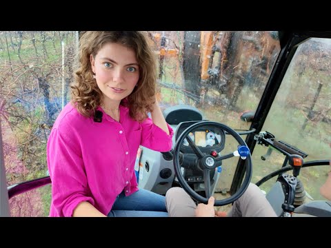 Exploring Technical Details of HUGE Grape Machine