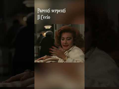 Snake Relatives - The Cecio