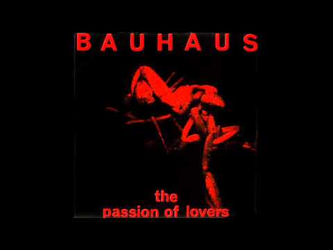 BAUHAUS ~ The Passion of Lovers