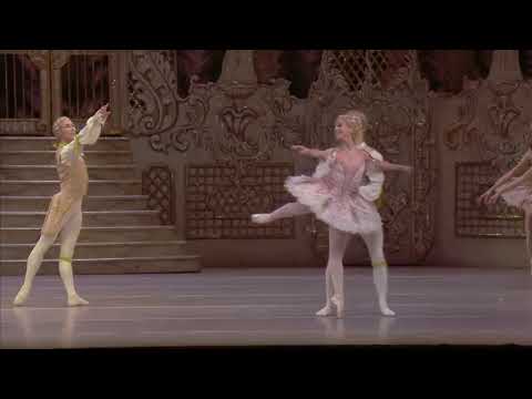 Laura Morera.  Rose Fairy